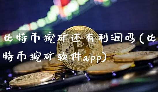 比特币挖矿还有利润吗(比特币挖矿软件app)_https://www.xjzxxn66.com_比特币_第1张