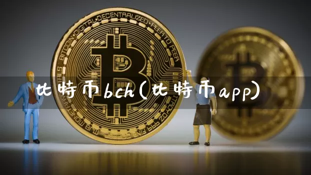 比特币bch(比特币app)_https://www.xjzxxn66.com_以太坊_第1张