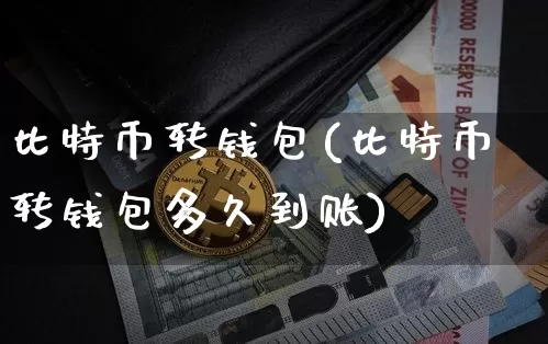 比特币转钱包(比特币转钱包多久到账)_https://www.xjzxxn66.com_币圈资讯_第1张