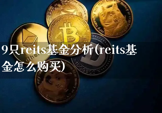 9只reits基金分析(reits基金怎么购买)_未分类_第1张_相聚币圈 9只reits基金分析(reits基金怎么购买)_https://www.xjzxxn66.com_未分类_第1张