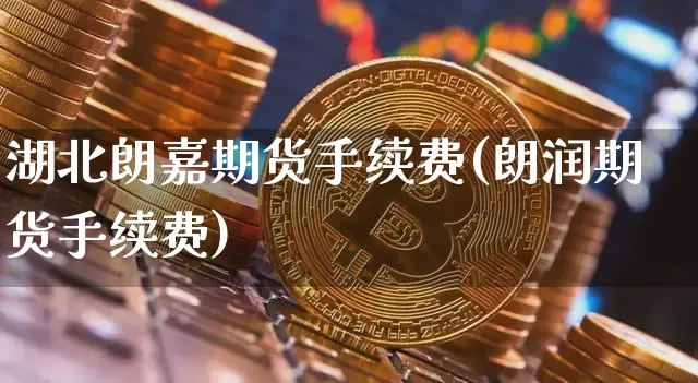 湖北朗嘉期货手续费(朗润期货手续费)_https://www.xjzxxn66.com_币圈资讯_第1张