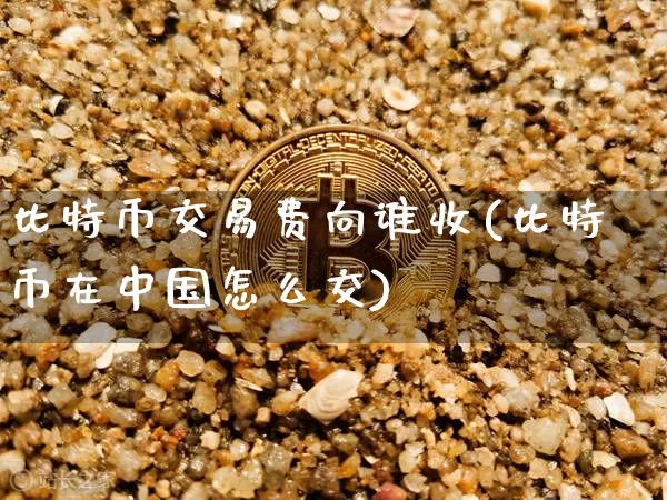 比特币交易费向谁收(比特币在中国怎么交)_https://www.xjzxxn66.com_比特币_第1张