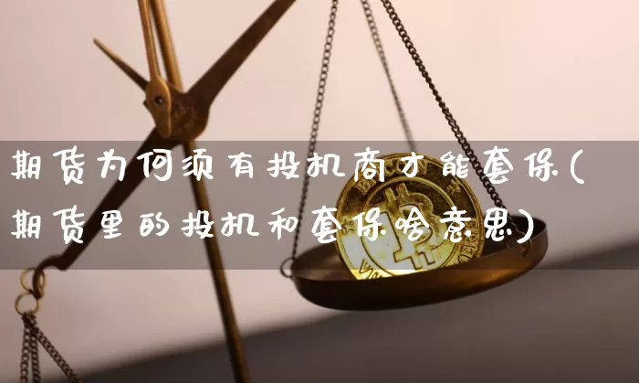 期货为何须有投机商才能套保(期货里的投机和套保啥意思)_https://www.xjzxxn66.com_未分类_第1张