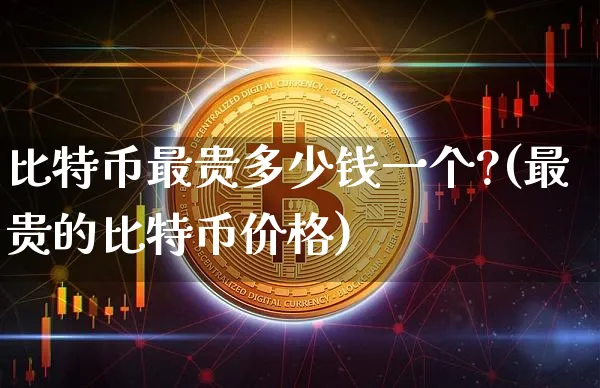 比特币最贵多少钱一个?(最贵的比特币价格)_https://www.xjzxxn66.com_币圈资讯_第1张