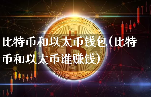 比特币和以太币钱包(比特币和以太币谁赚钱)_https://www.xjzxxn66.com_比特币_第1张