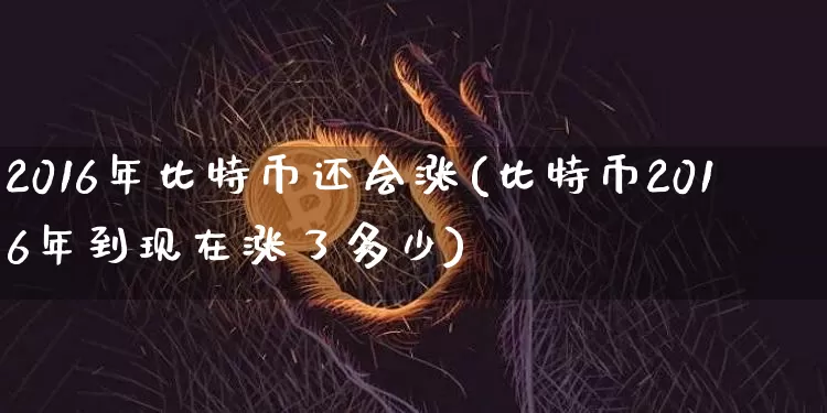 2016年比特币还会涨(比特币2016年到现在涨了多少)_https://www.xjzxxn66.com_以太坊_第1张
