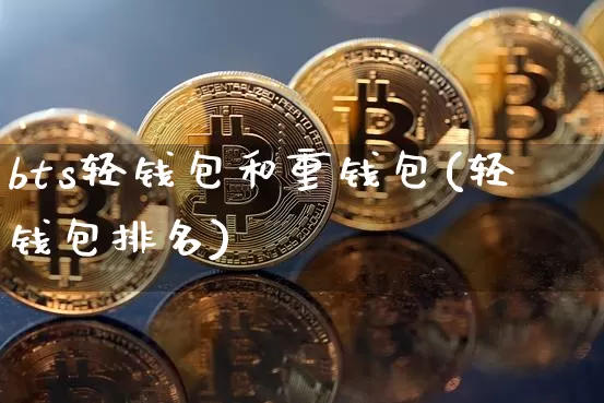 bts轻钱包和重钱包(轻钱包排名)_https://www.xjzxxn66.com_区块链_第1张