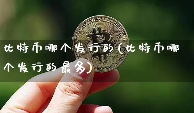 比特币哪个发行的(比特币哪个发行的最多)_https://www.xjzxxn66.com_币圈资讯_第1张