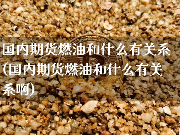 国内期货燃油和什么有关系(国内期货燃油和什么有关系啊)_https://www.xjzxxn66.com_区块链_第1张