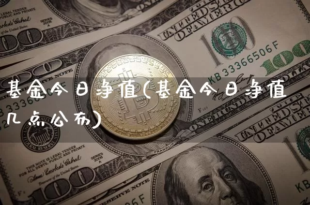 基金今日净值(基金今日净值几点公布)_区块链_第1张_相聚币圈 基金今日净值(基金今日净值几点公布)_https://www.xjzxxn66.com_区块链_第1张