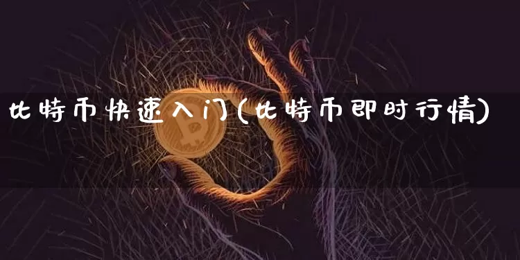 比特币快速入门(比特币即时行情)_https://www.xjzxxn66.com_比特币_第1张