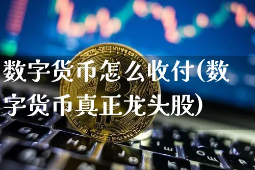 数字货币怎么收付(数字货币真正龙头股)_https://www.xjzxxn66.com_以太坊_第1张