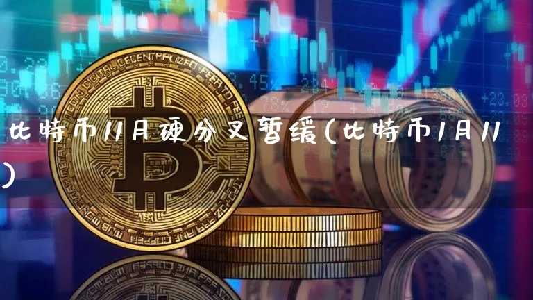 比特币11月硬分叉暂缓(比特币1月11)_https://www.xjzxxn66.com_比特币_第1张