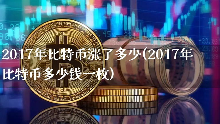 2017年比特币涨了多少(2017年比特币多少钱一枚)_https://www.xjzxxn66.com_比特币_第1张