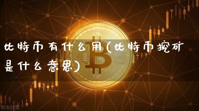 比特币有什么用(比特币挖矿是什么意思)_https://www.xjzxxn66.com_以太坊_第1张