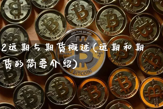 2远期与期货概述(远期和期货的简要介绍)_https://www.xjzxxn66.com_区块链_第1张