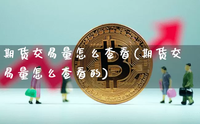 期货交易量怎么查看(期货交易量怎么查看的)_https://www.xjzxxn66.com_未分类_第1张
