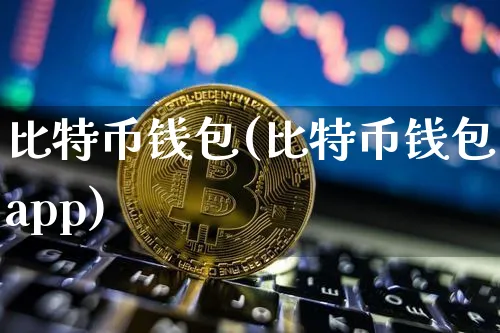 比特币钱包(比特币钱包app)_https://www.xjzxxn66.com_比特币_第1张