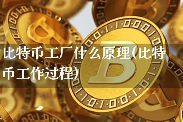 比特币工厂什么原理(比特币工作过程)_https://www.xjzxxn66.com_币圈资讯_第1张