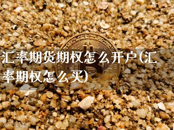 汇率期货期权怎么开户(汇率期权怎么买)_https://www.xjzxxn66.com_币圈资讯_第1张