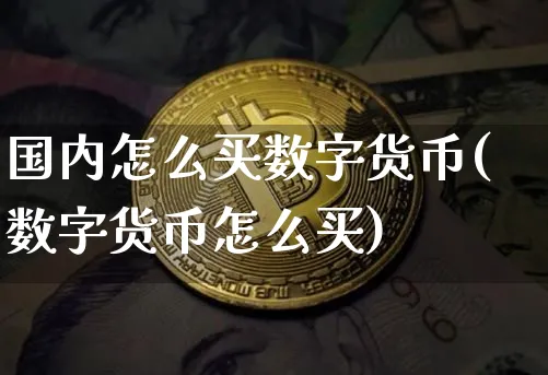 国内怎么买数字货币(数字货币怎么买)_https://www.xjzxxn66.com_币圈资讯_第1张