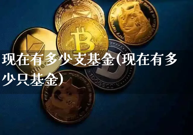 现在有多少支基金(现在有多少只基金)_https://www.xjzxxn66.com_比特币_第1张
