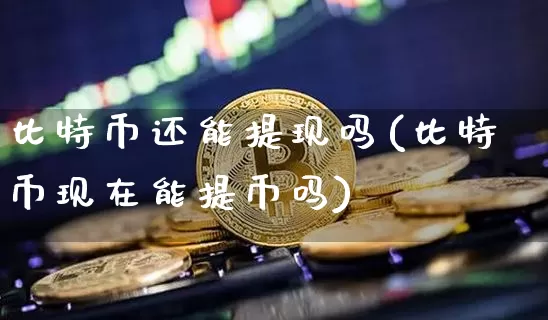 比特币还能提现吗(比特币现在能提币吗)_https://www.xjzxxn66.com_比特币_第1张