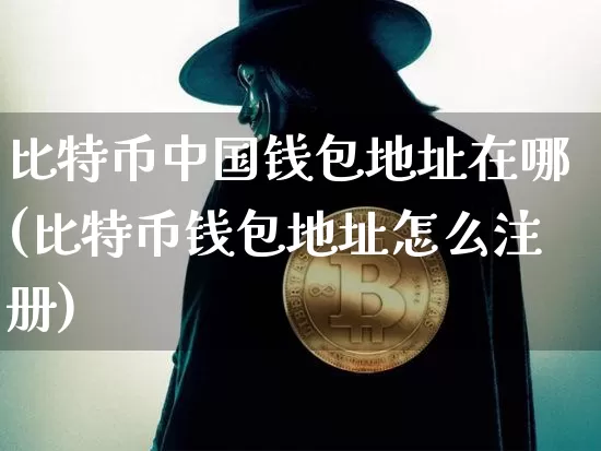 比特币中国钱包地址在哪(比特币钱包地址怎么注册)_https://www.xjzxxn66.com_以太坊_第1张
