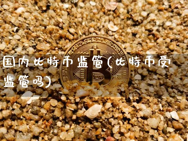 国内比特币监管(比特币受监管吗)_https://www.xjzxxn66.com_币圈资讯_第1张
