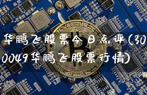 华鹏飞股票今日点评(300049华鹏飞股票行情)_https://www.xjzxxn66.com_未分类_第1张