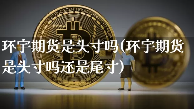环宇期货是头寸吗(环宇期货是头寸吗还是尾寸)_https://www.xjzxxn66.com_未分类_第1张