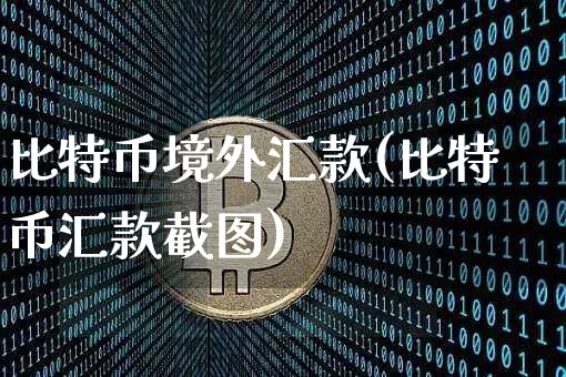 比特币境外汇款(比特币汇款截图)_https://www.xjzxxn66.com_以太坊_第1张