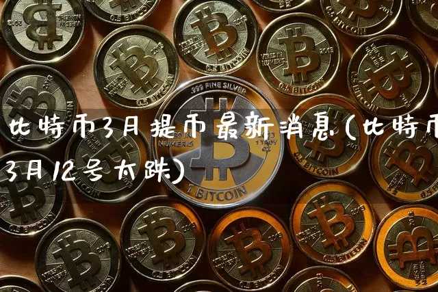 比特币3月提币最新消息(比特币3月12号太跌)_https://www.xjzxxn66.com_区块链_第1张