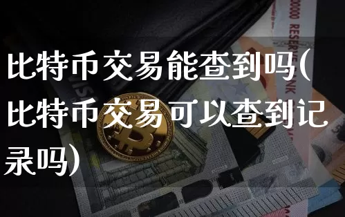 比特币交易能查到吗(比特币交易可以查到记录吗)_https://www.xjzxxn66.com_比特币_第1张