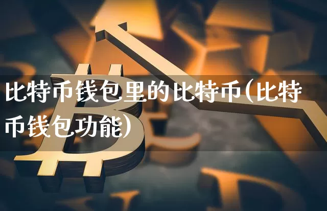 比特币钱包里的比特币(比特币钱包功能)_https://www.xjzxxn66.com_比特币_第1张