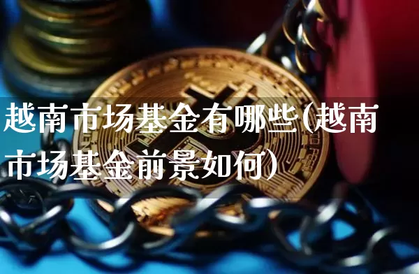 越南市场基金有哪些(越南市场基金前景如何)_币圈资讯_第1张_相聚币圈 越南市场基金有哪些(越南市场基金前景如何)_https://www.xjzxxn66.com_币圈资讯_第1张