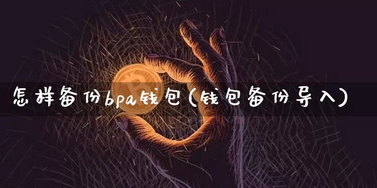 怎样备份bpa钱包(钱包备份导入)_https://www.xjzxxn66.com_币圈资讯_第1张