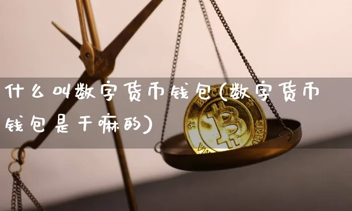 什么叫数字货币钱包(数字货币钱包是的)_https://www.xjzxxn66.com_币圈资讯_第1张