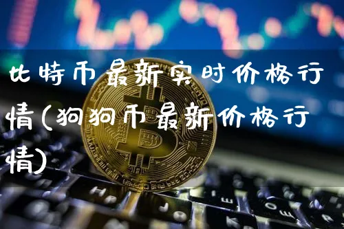 比特币最新实时价格行情(狗狗币最新价格行情)_https://www.xjzxxn66.com_币圈资讯_第1张