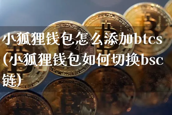 小狐狸钱包怎么添加btcs(小狐狸钱包如何切换bsc链)_https://www.xjzxxn66.com_以太坊_第1张
