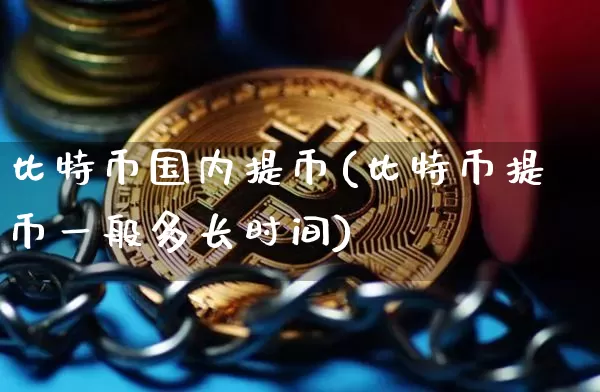 比特币国内提币(比特币提币一般多长时间)_https://www.xjzxxn66.com_币圈资讯_第1张