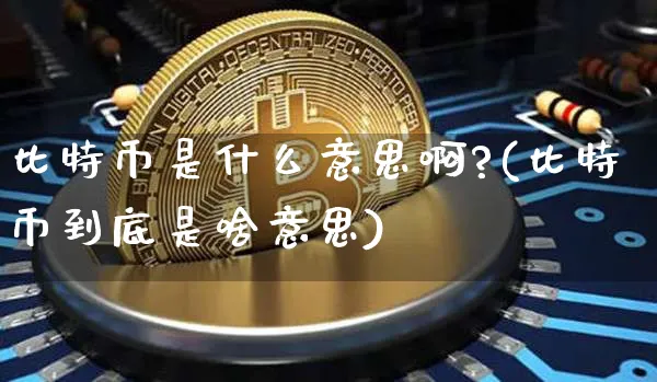 比特币是什么意思啊?(比特币到底是啥意思)_https://www.xjzxxn66.com_以太坊_第1张