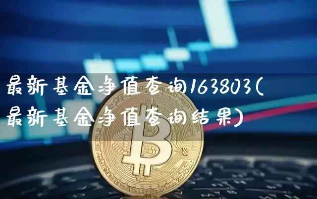 最新基金净值查询163803(最新基金净值查询结果)_以太坊_第1张_相聚币圈 最新基金净值查询163803(最新基金净值查询结果)_https://www.xjzxxn66.com_以太坊_第1张