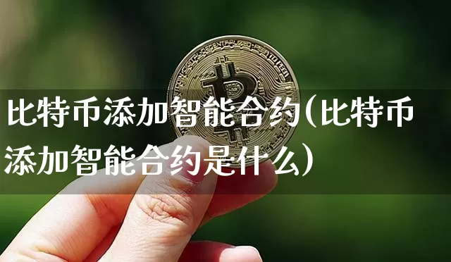 比特币添加智能合约(比特币添加智能合约是什么)_https://www.xjzxxn66.com_币圈资讯_第1张