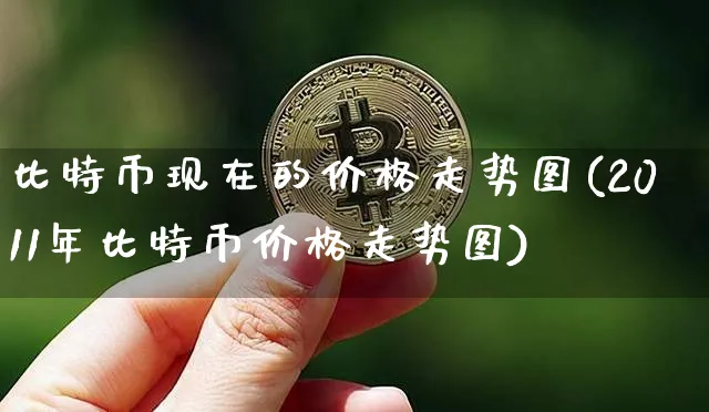 比特币现在的价格走势图(2011年比特币价格走势图)_https://www.xjzxxn66.com_币圈资讯_第1张