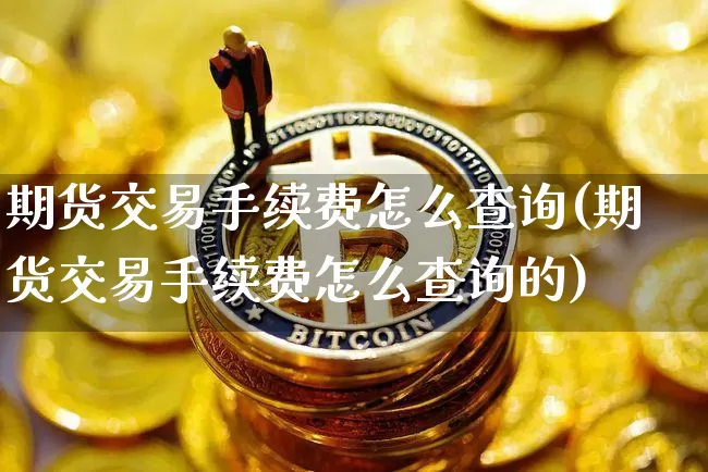 期货交易手续费怎么查询(期货交易手续费怎么查询的)_https://www.xjzxxn66.com_未分类_第1张