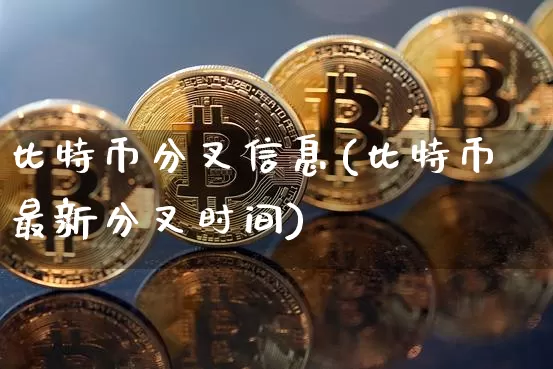 比特币分叉信息(比特币最新分叉时间)_https://www.xjzxxn66.com_币圈资讯_第1张