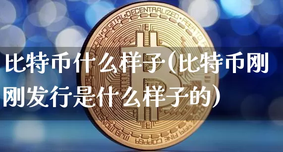 比特币什么样子(比特币刚刚发行是什么样子的)_https://www.xjzxxn66.com_比特币_第1张