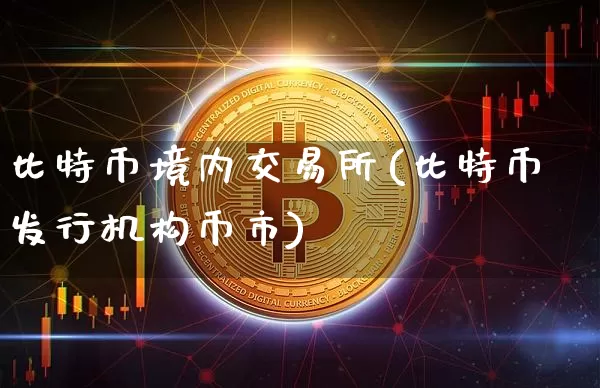 比特币境内交易所(比特币发行机构币市)_https://www.xjzxxn66.com_币圈资讯_第1张