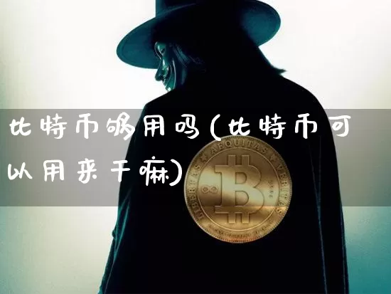 比特币够用吗(比特币可以用来干嘛)_https://www.xjzxxn66.com_以太坊_第1张
